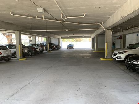 South Tampa / Hyde Park Medical / Professional Office