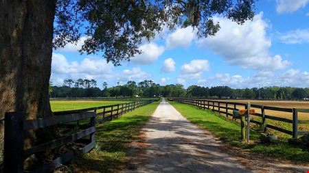 119+/- Commercial Acres