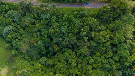 VacantLand space for Sale at San Sebastian Vacant Land - For Sale in San Sebastian