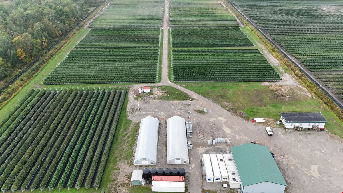 Tawas City - Former Operating/Turnkey Cannabis Outdoor Cultivation Operation