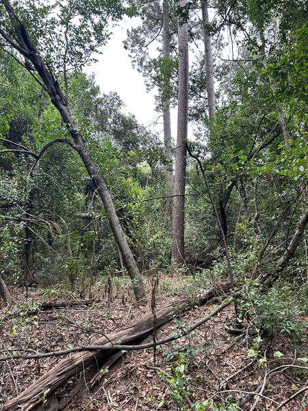 Old Aiken Rd.