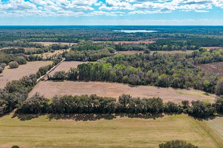 VacantLand space for Sale at Putnam County Farmland in Florahome