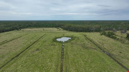 Tomoka Farms Road 411 ± Acres