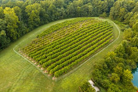 Shade Winery
