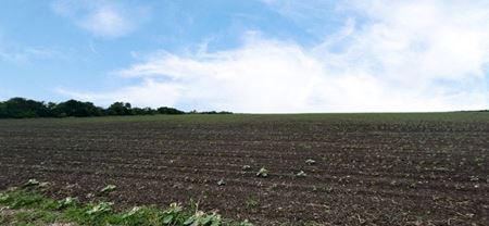 Land space for Sale at CR 48, 54.166 AC in Robstown