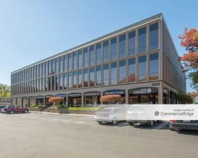 Jamaica Plaza