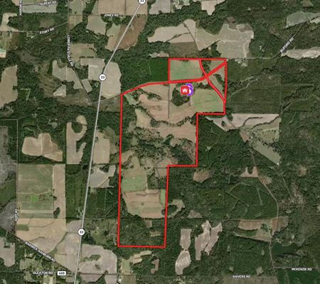 VacantLand space for Sale at 627 Buford Rd in Arabi