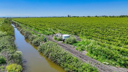 Clarksburg Vineyard Land
