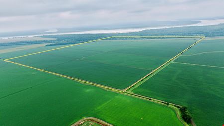 Mosby Spur Levee Farm