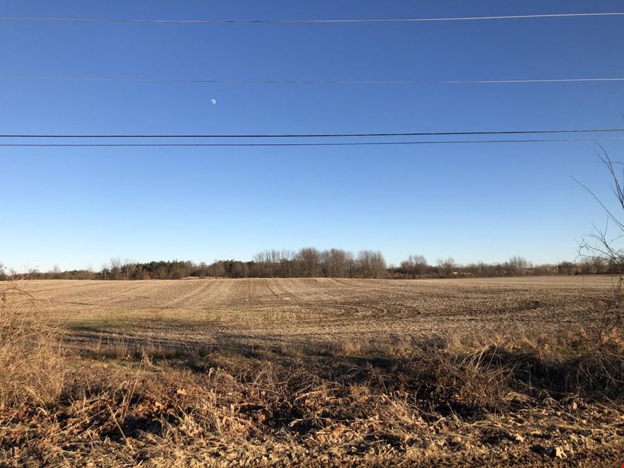 Lansing Mi - Grove Rd 30 Acres 