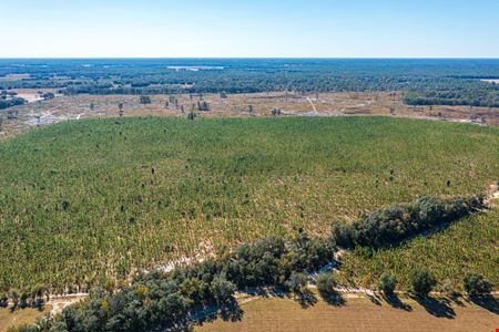 VacantLand space for Sale at Dutton Place Recreation and Timber in Newberry