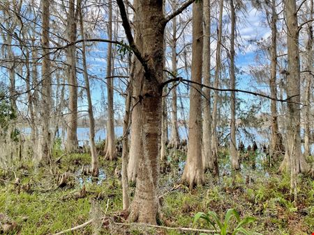 Old Florida Ranch Recreational Land