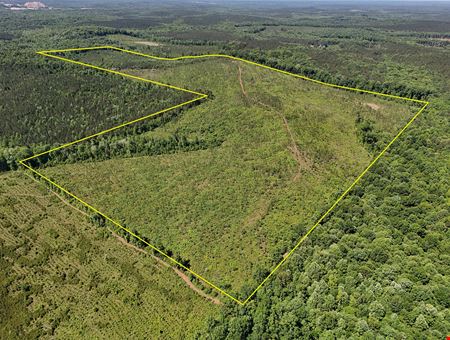Longleaf Ridge