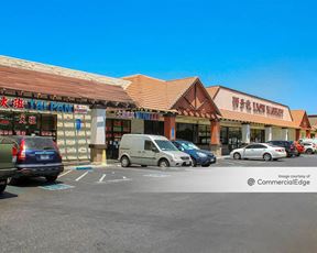 Gould Shopping Center - 1031 East Capitol Expwy