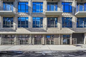 65 Eckford St