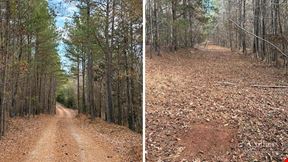 ±105-Acre Recreational Tract with Practical Homestead Sites