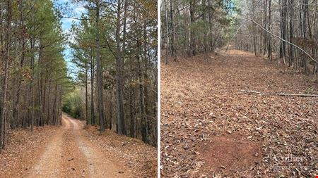 Other space for Sale at ±105-Acre Recreational Tract with Practical Homestead Sites in South Carolina 29669