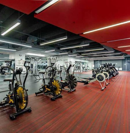 NB Fitness Club