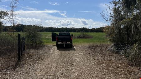 Ocala Land Opportunity