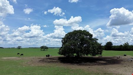 Rolling Oaks Ridge