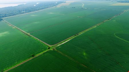 Mosby Spur Levee Farm