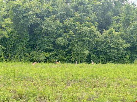 Dupree Tract