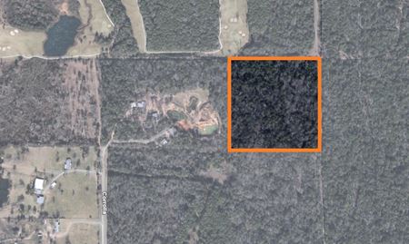 Multi-Family space for Sale at 10ac in Magnolia/The Woodlands in Magnolia