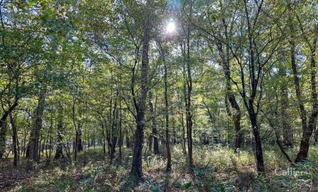 Other space for Sale at ±120.19-Acre Timber & Recreational Tract Available | Winnsboro, SC in South Carolina 29180