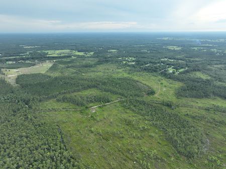 VacantLand space for Sale at Baker County Transitional Timberland in Sanderson