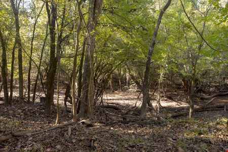 Dodge County River Property
