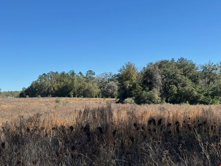 52.6 Acres in Archer