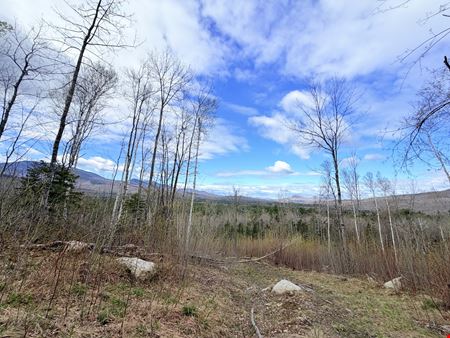 Route 3 North, Carroll, NH (lots 43 & 46)