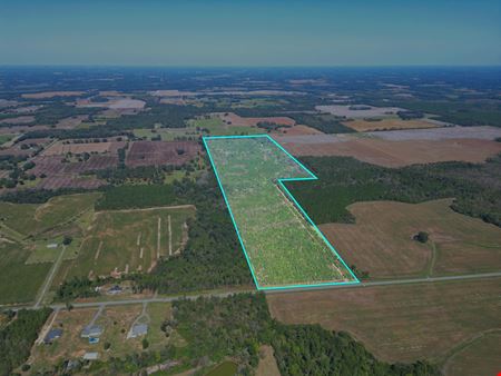 114± Acre Timber Investment with Slash Pine, Hardwoods & Hunting Near Graceville