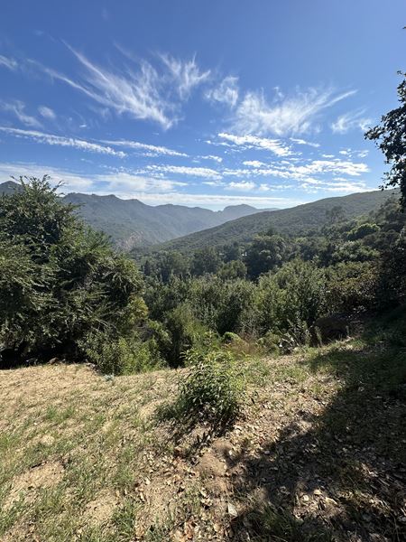 Unassigned space for Sale at TOPANGA, CA 90290  in Topanga