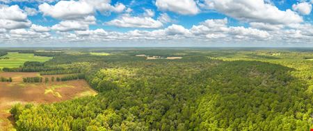 Riley Farm - 109.47 Acres of Ag Land