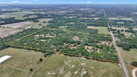 VacantLand space for Sale at Williston 68 Acre Ranchette and Homesite in Williston