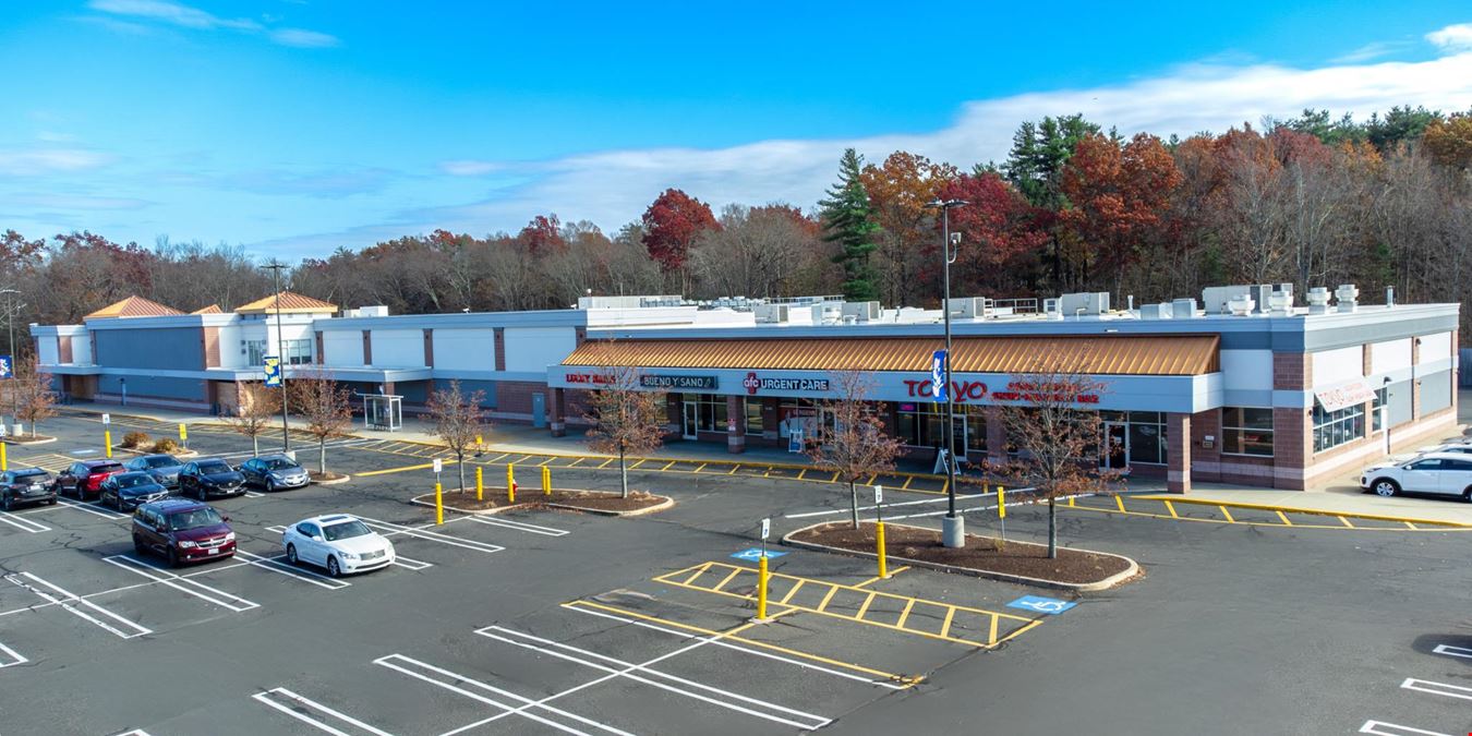 Springfield Commons