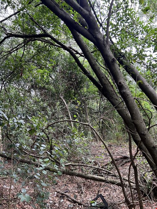Old Aiken Rd.