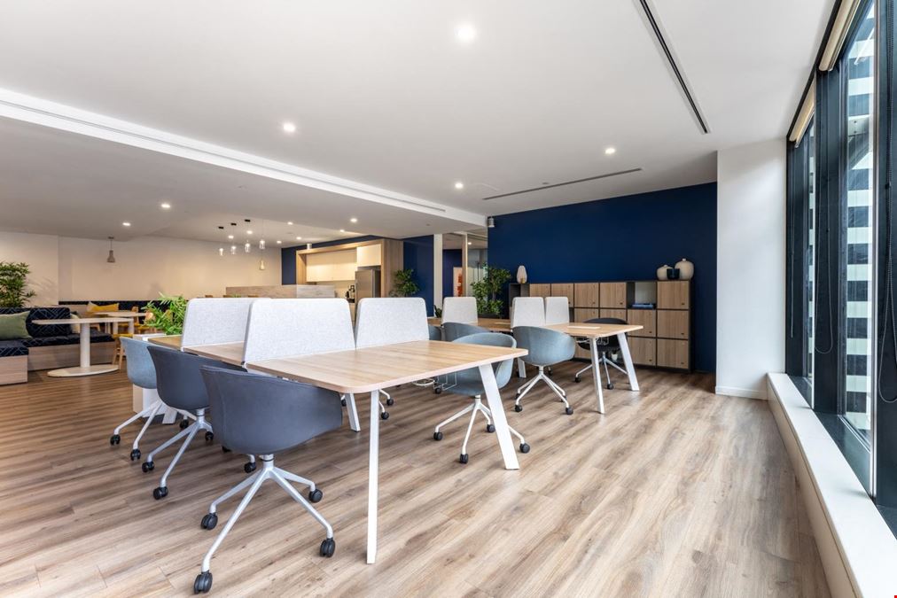 Regus - North MoPac