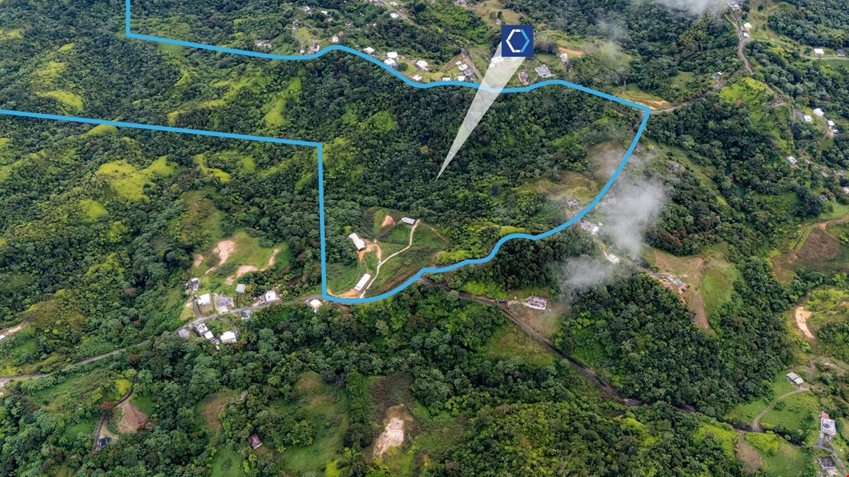Turnkey Agricultural Operation w. Eco Tourism Potential @ Hacienda Montesol - For Sale