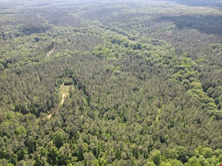 Chattahoochee Meadows - 713.08 Acres