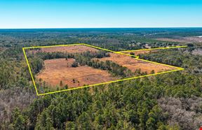 East Alachua County 83 Acres