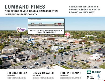 Lombard Pines