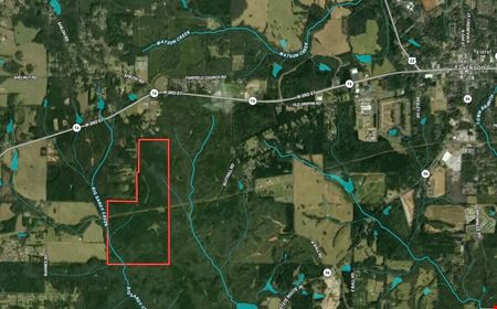 Dub Walker Rd - 314.47 Acres