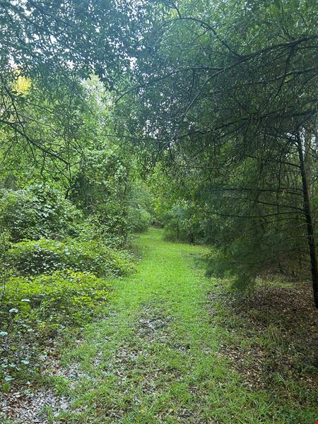 Fort White 58.7 Acres