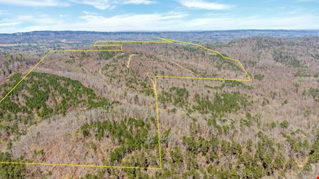 VacantLand space for Sale at Rock Bridge Hunting Retreat in Gallant