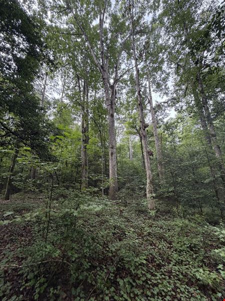 Highway 20 - 131.12 Acres