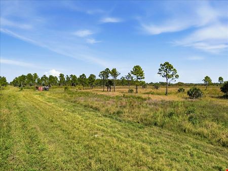 Big Cypress Preserve