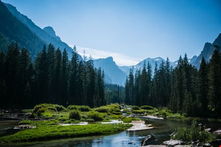 40 Wooded Acres near Kalispell: Classic Montana Forty
