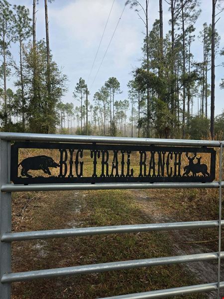 820± Acre Hunting & Recreational Property in Perry FL